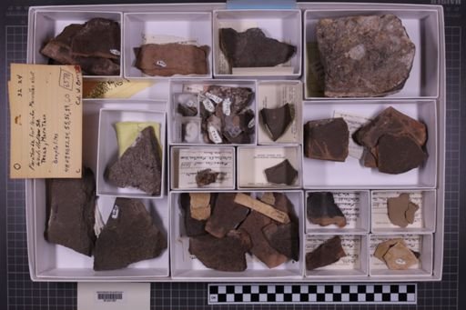 mixed taxa, stratigraphic collection