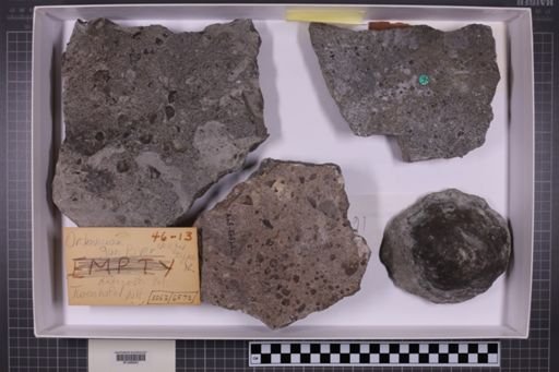 mixed taxa, stratigraphic collection