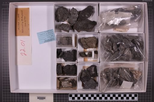 mixed taxa, stratigraphic collection