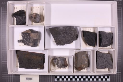 mixed taxa, stratigraphic collection
