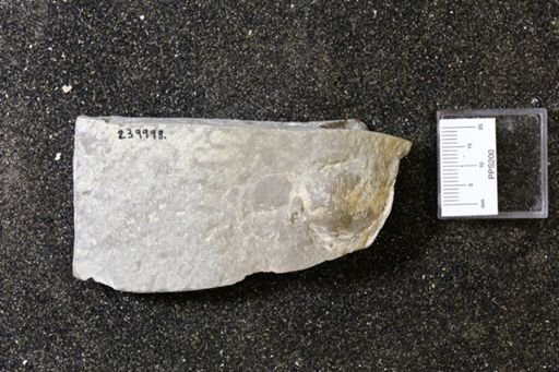 Ovatia?