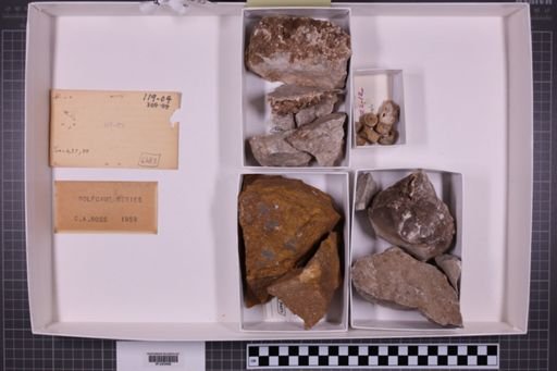 mixed taxa, stratigraphic collection