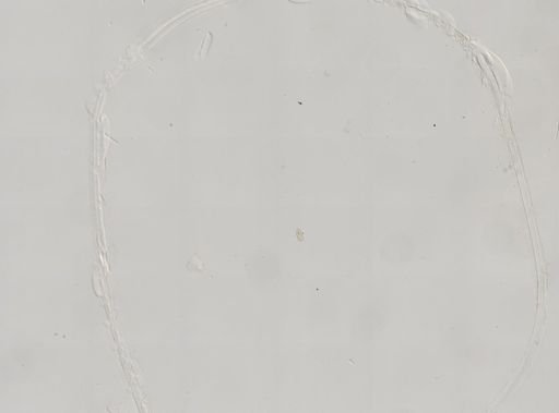 Paramecium