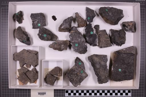 mixed taxa, stratigraphic collection