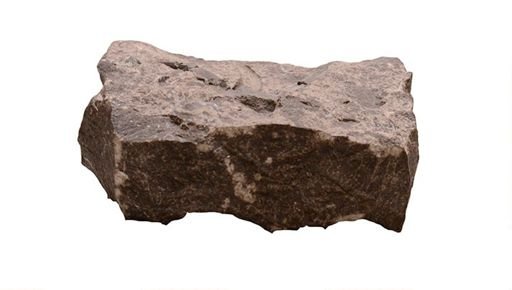 Onychodus sigmoides