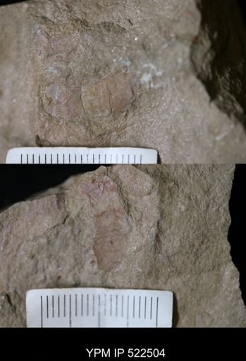 Problematica