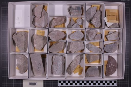 mixed taxa, stratigraphic collection