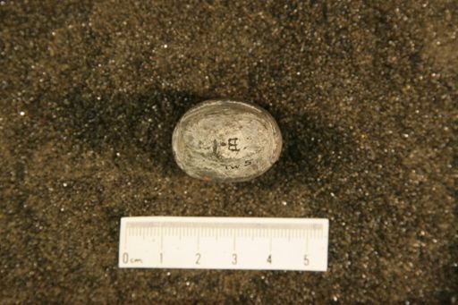 Billingsites anticostiensis