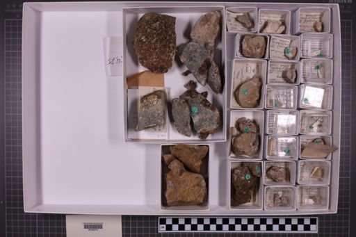 mixed taxa, stratigraphic collection