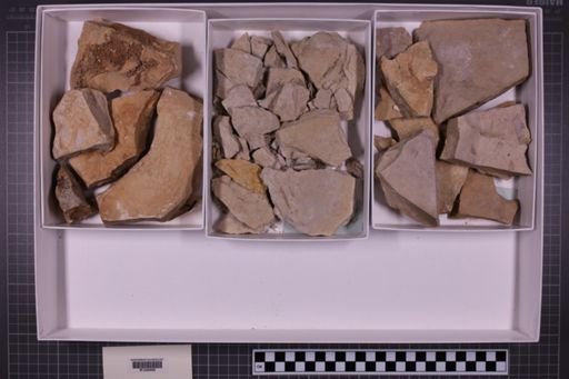 mixed taxa, stratigraphic collection