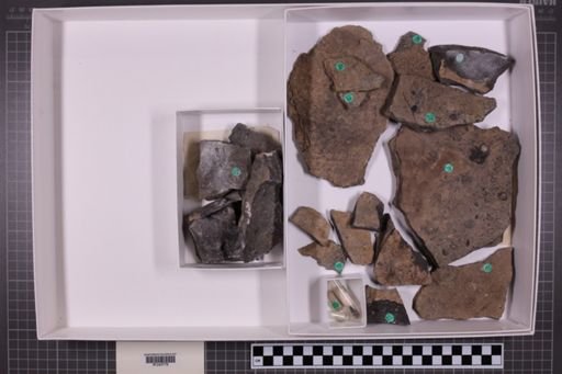 mixed taxa, stratigraphic collection