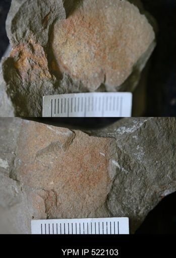 Problematica