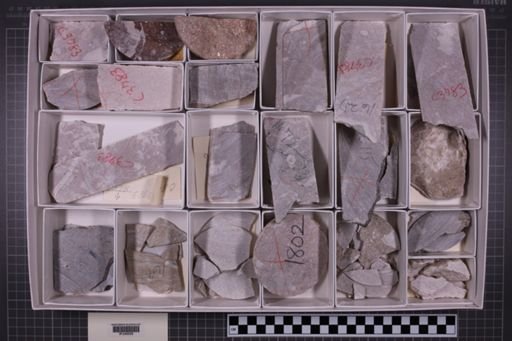 mixed taxa, stratigraphic collection