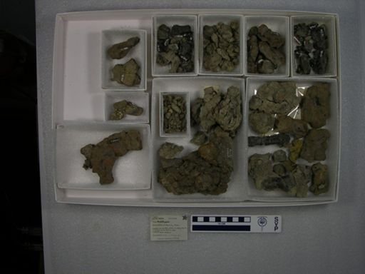 Probathyopsis harrisorum