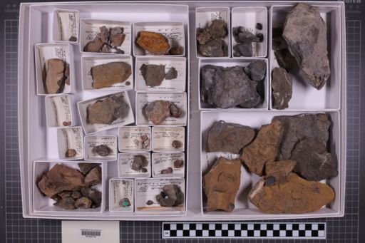 mixed taxa, stratigraphic collection
