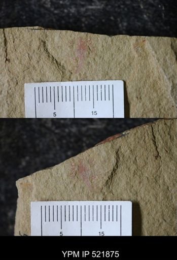 Problematica