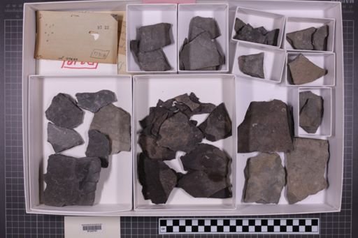 mixed taxa, stratigraphic collection