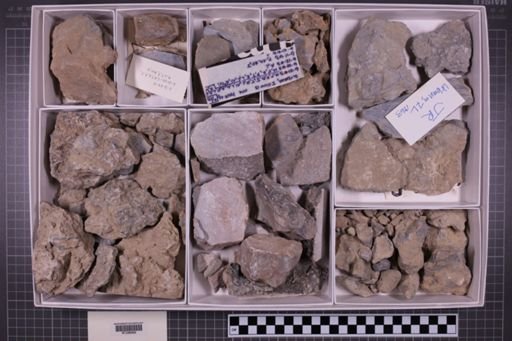 mixed taxa, stratigraphic collection