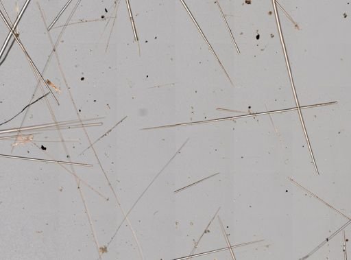 Tetilla