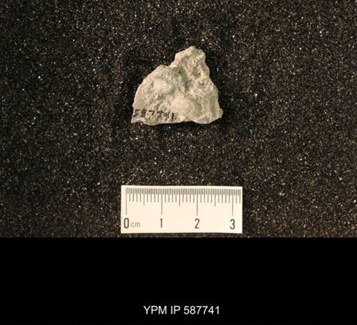 Brachyprion anticostiense