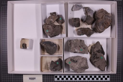 mixed taxa, stratigraphic collection