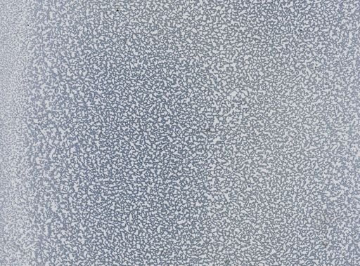 Plasmodium vivax
