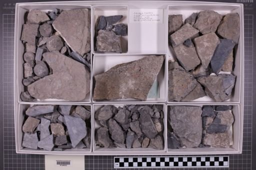 mixed taxa, stratigraphic collection