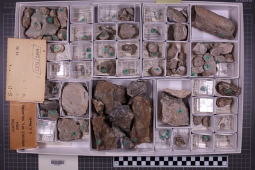 mixed taxa, stratigraphic collection