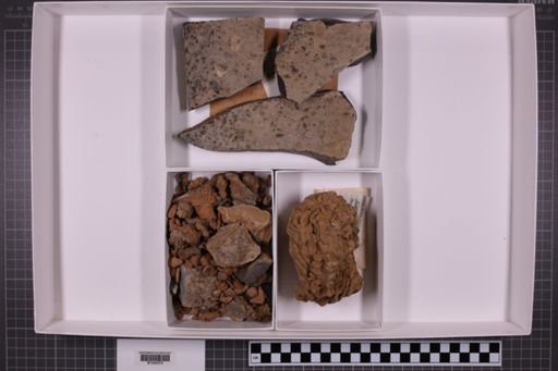 mixed taxa, stratigraphic collection