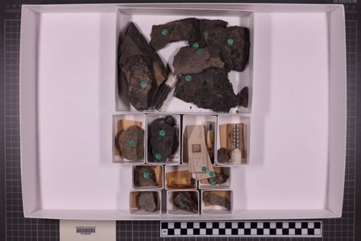 mixed taxa, stratigraphic collection