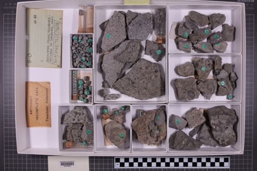 mixed taxa, stratigraphic collection