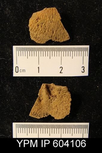 Dalmanella eminens