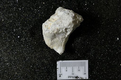 Pirgulia