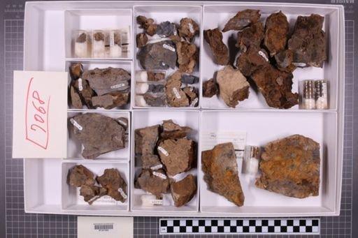 mixed taxa, stratigraphic collection