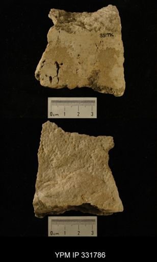 Columnaria?