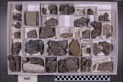 mixed taxa, stratigraphic collection