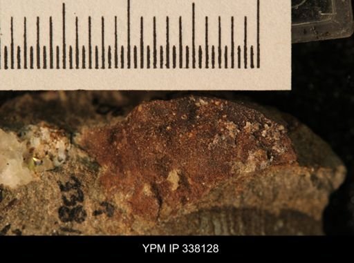 lithic clast