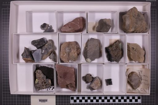 mixed taxa, stratigraphic collection