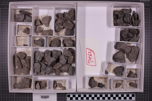 mixed taxa, stratigraphic collection