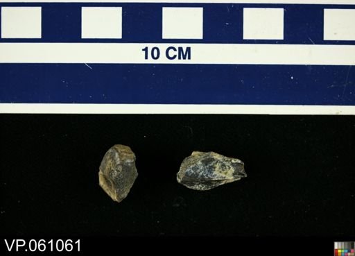 Hadrosauridae