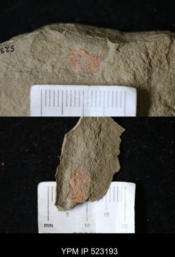 Problematica