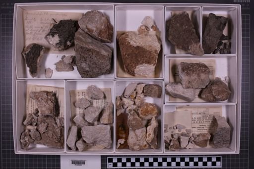 mixed taxa, stratigraphic collection