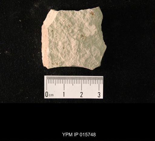 Pycnoblattina