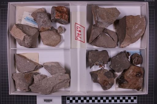 mixed taxa, stratigraphic collection