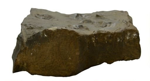 Isotelus benjamini