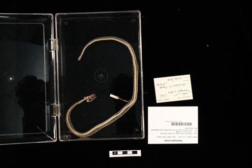 Thamnophis sirtalis