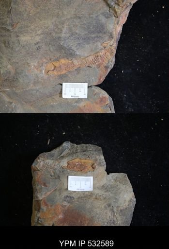 Problematica