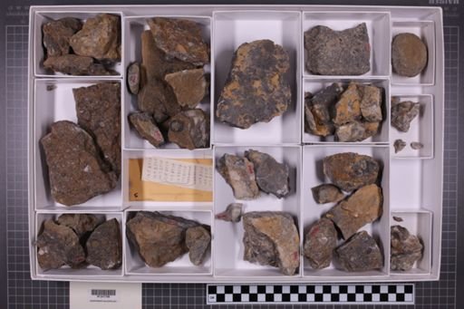 mixed taxa, stratigraphic collection