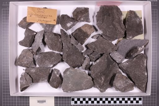 mixed taxa, stratigraphic collection