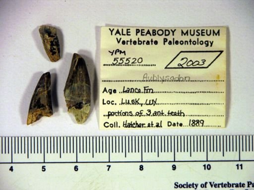 Aublysodon?